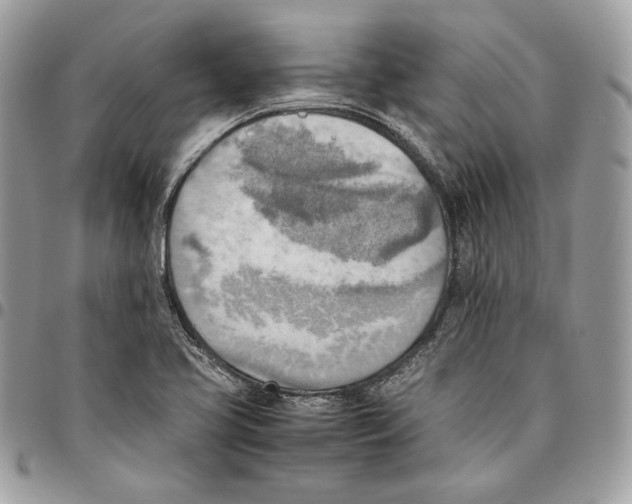 X0000095891413200802081107