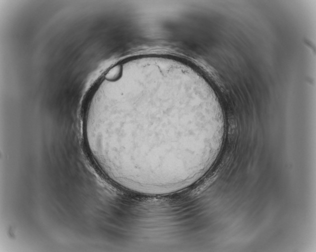 X0000095891414200802081107