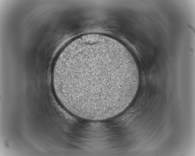 X0000095891416200802081107