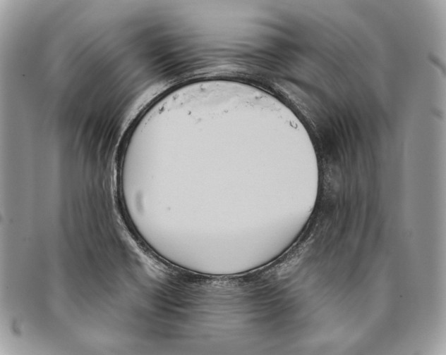 X0000095891418200802081107