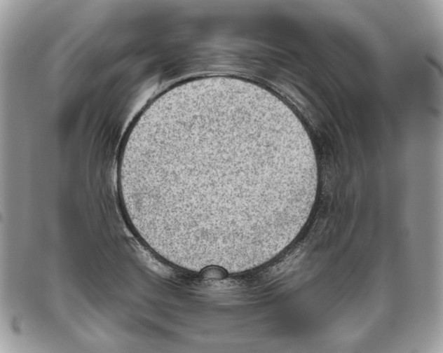 X0000095891420200802081107