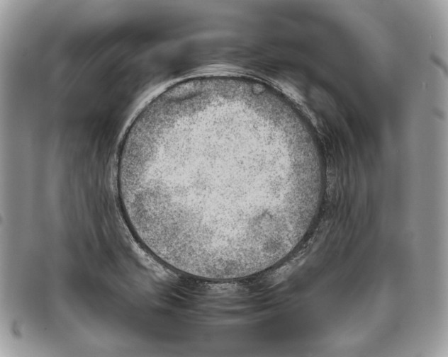X0000095891421200802081107