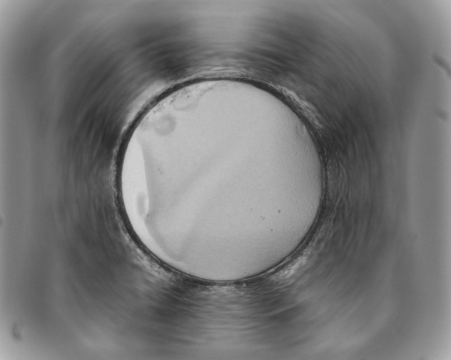 X0000095891422200802081107