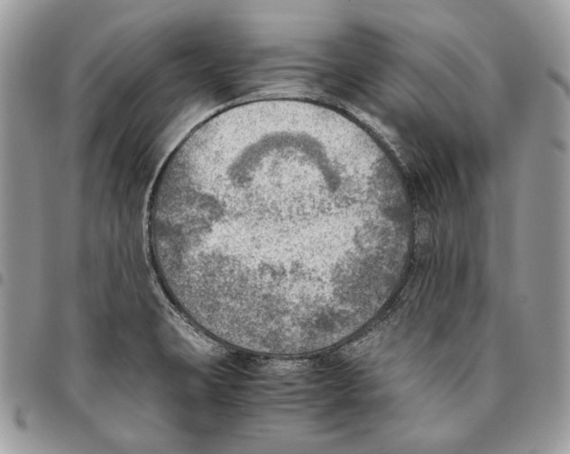 X0000095891423200802081107