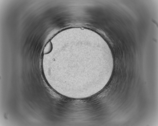 X0000095891424200802081107
