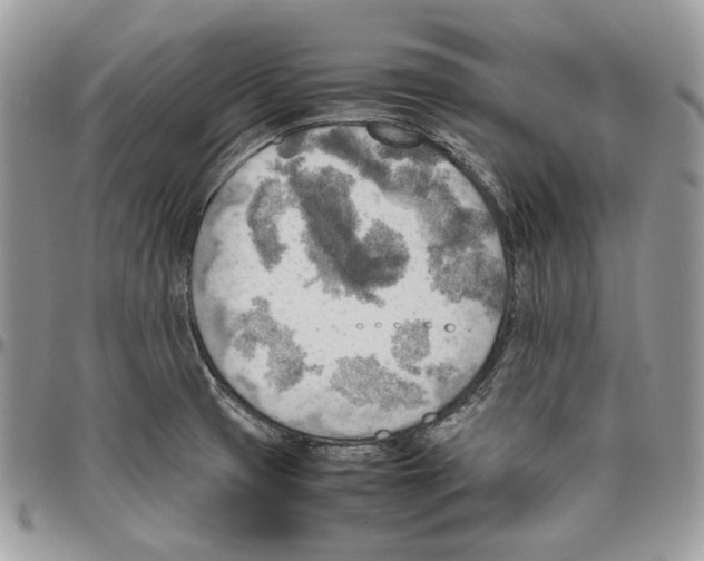 X0000095891425200802081107