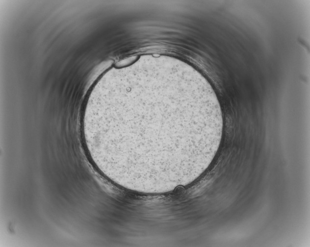 X0000095891426200802081107