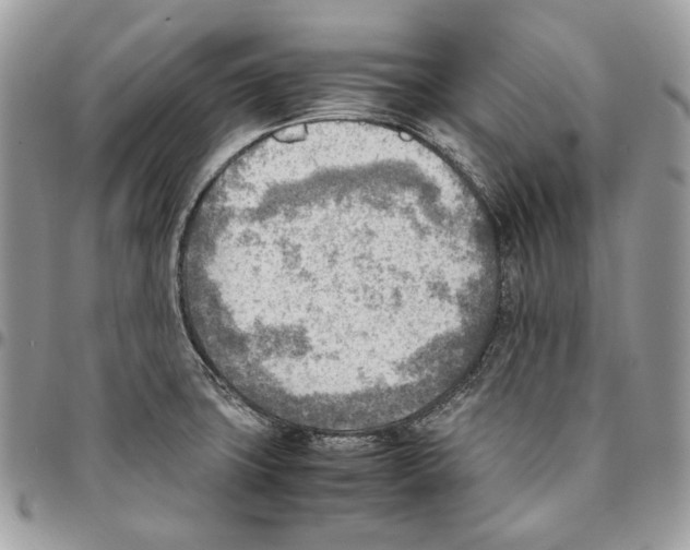 X0000095891427200802081107