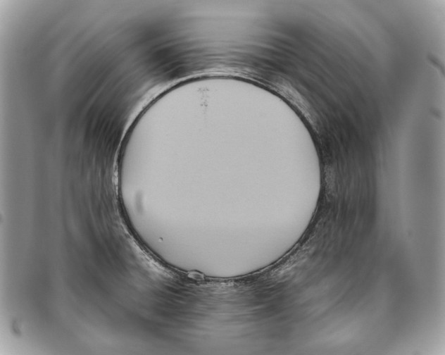 X0000095891428200802081107