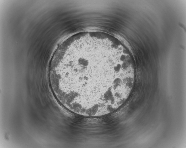 X0000095891429200802081107