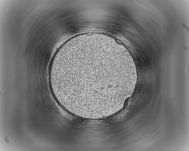 X0000095891430200802081107