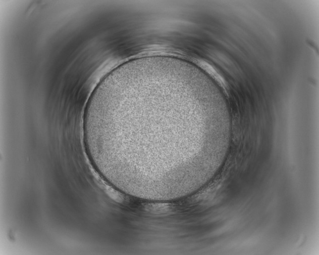 X0000095891431200802081107