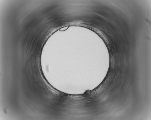 X0000095891432200802081107