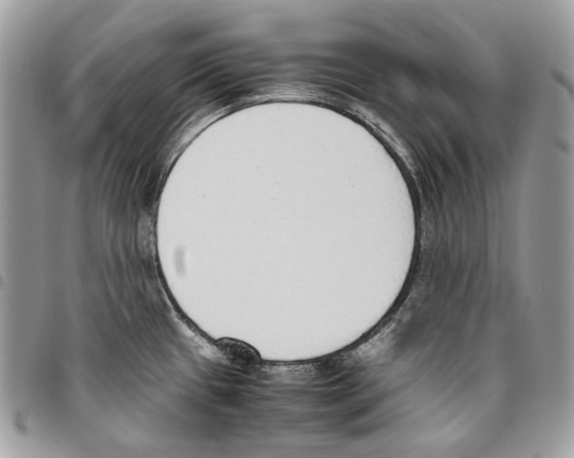 X0000095891433200802081107