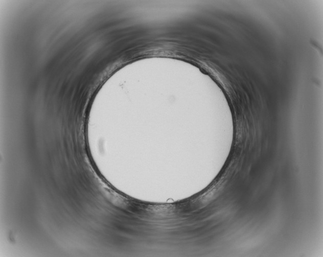 X0000095891434200802081107