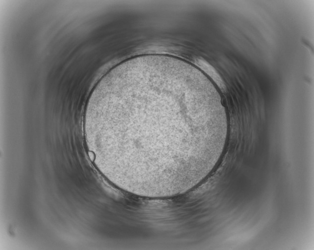 X0000095891436200802081107