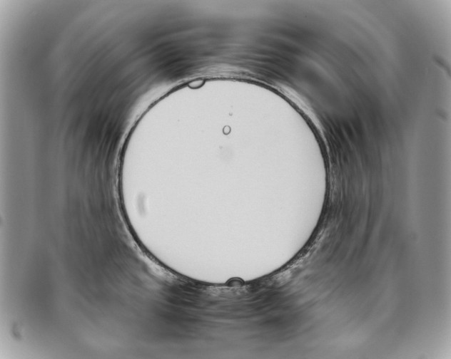 X0000095891437200802081107