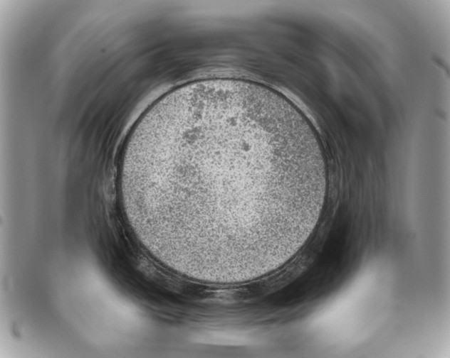 X0000095891438200802081107