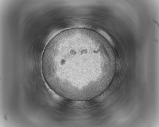X0000095891439200802081107
