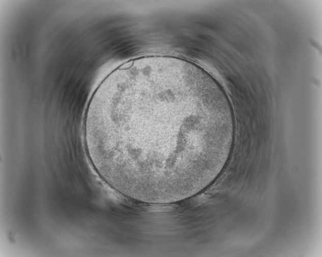 X0000095891440200802081107