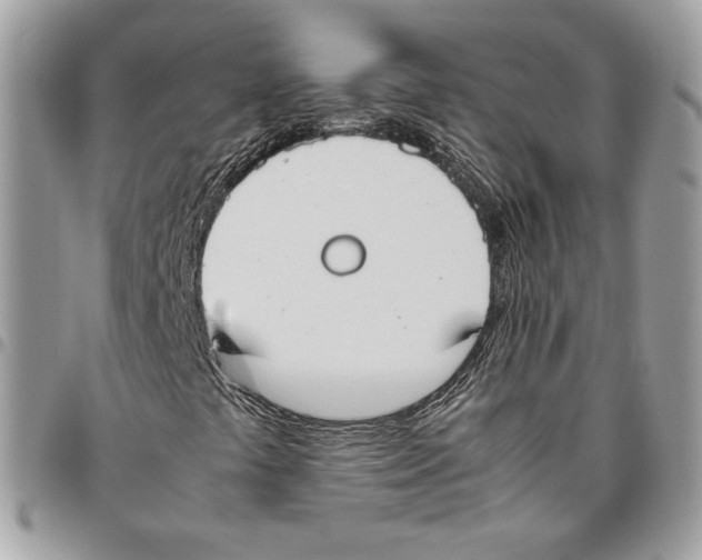 X0000095891441200802081107