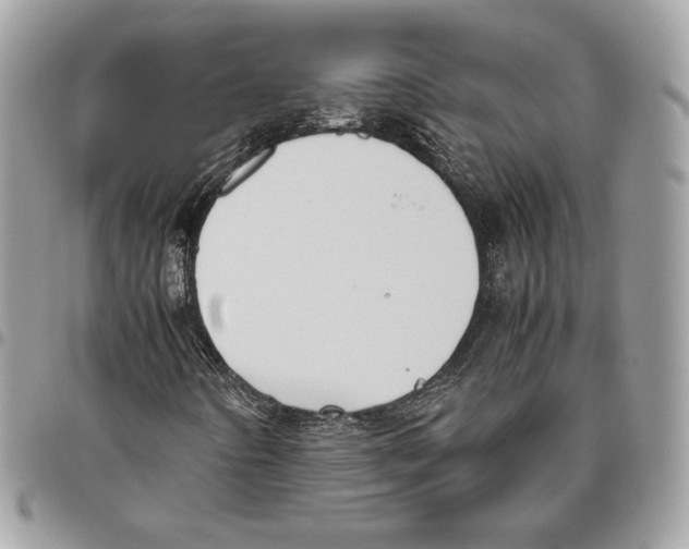X0000095891442200802081107