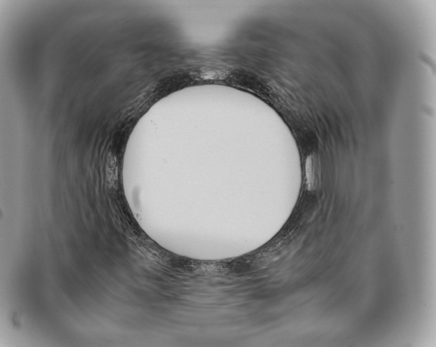 X0000095891443200802081107