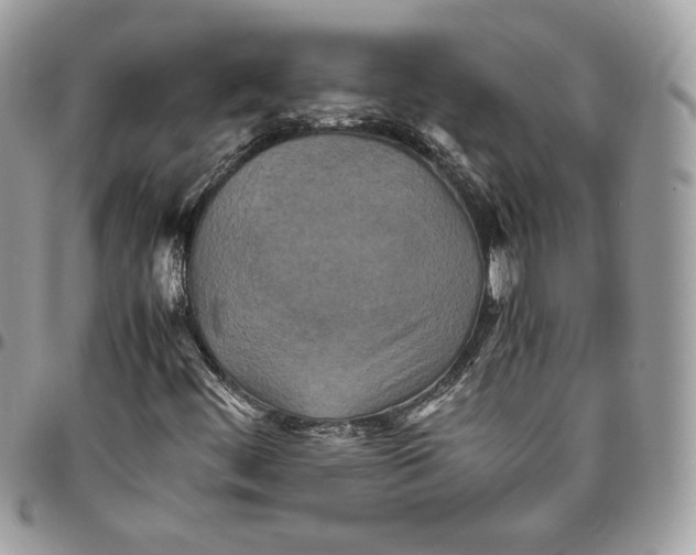 X0000095891444200802081107