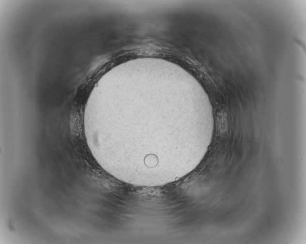X0000095891446200802081107