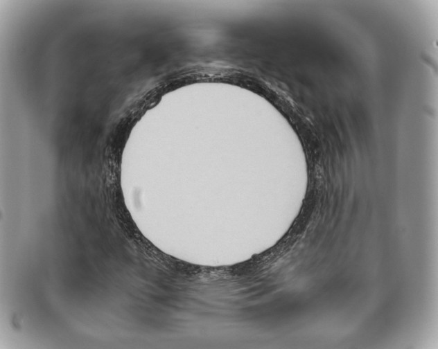 X0000095891447200802081107
