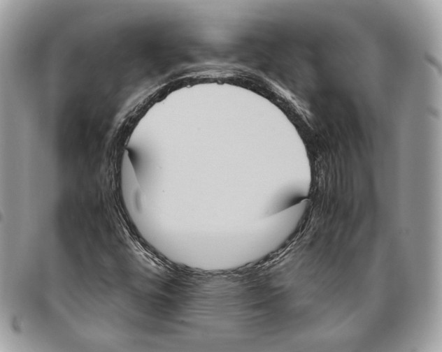 X0000095891448200802081107