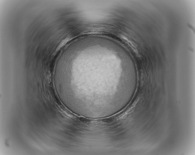 X0000095891449200802081107
