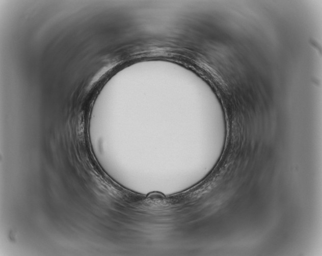 X0000095891450200802081106