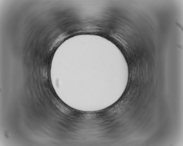X0000095891451200802081106