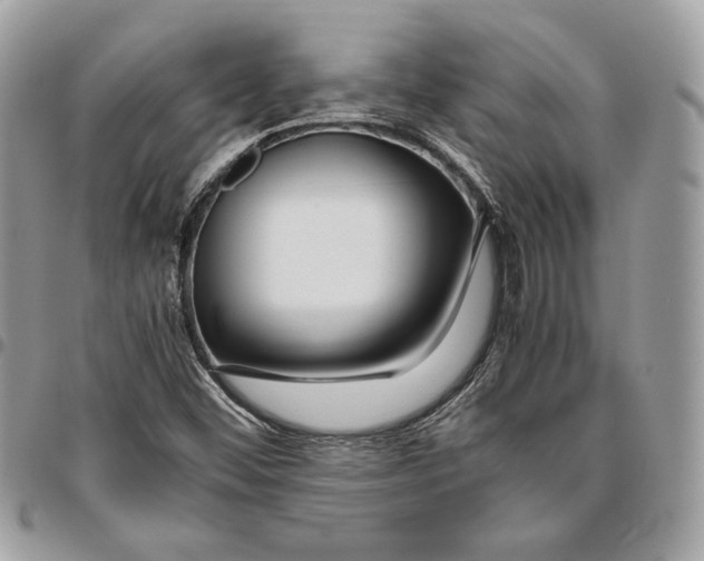 X0000095891452200802081106
