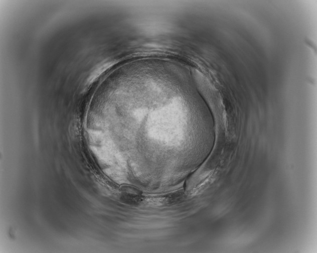 X0000095891453200802081106