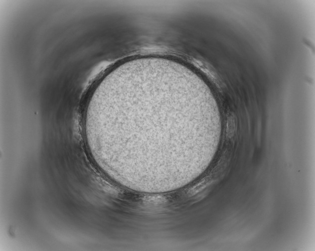 X0000095891454200802081106