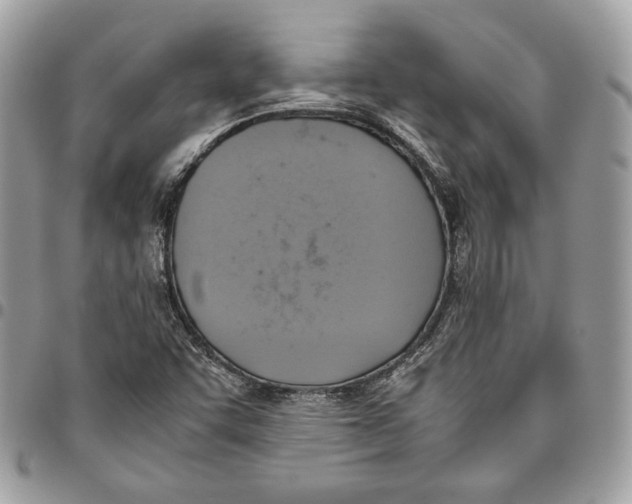 X0000095891455200802081106