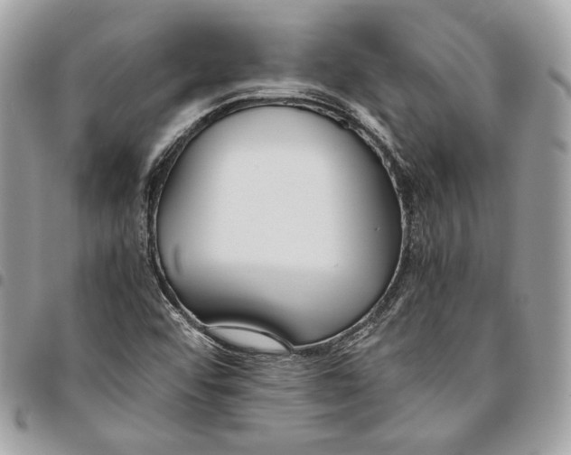 X0000095891456200802081106