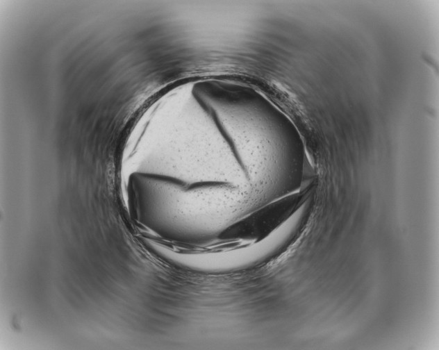 X0000095891457200802081106