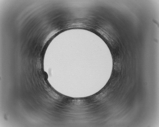 X0000095891458200802081106