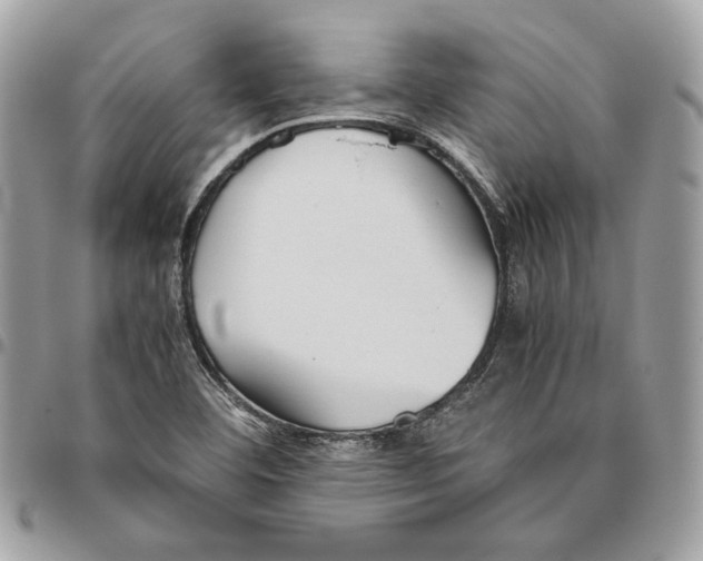 X0000095891460200802081106