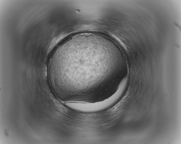 X0000095891461200802081106