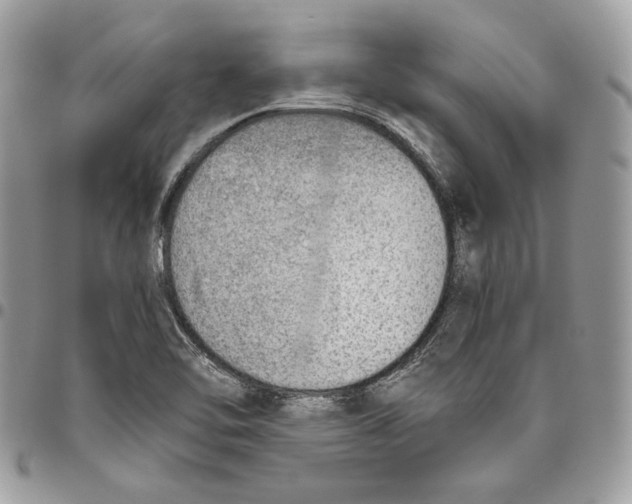 X0000095891462200802081106