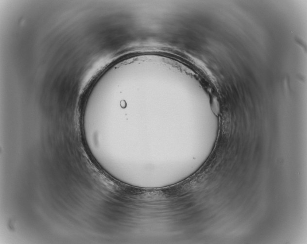 X0000095891464200802081106
