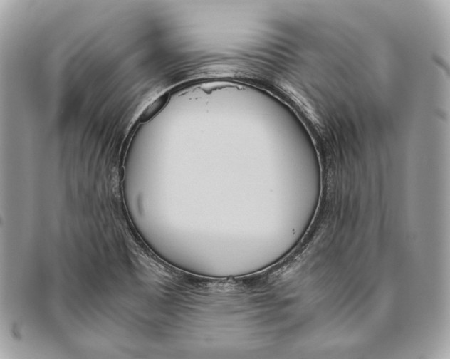 X0000095891465200802081106