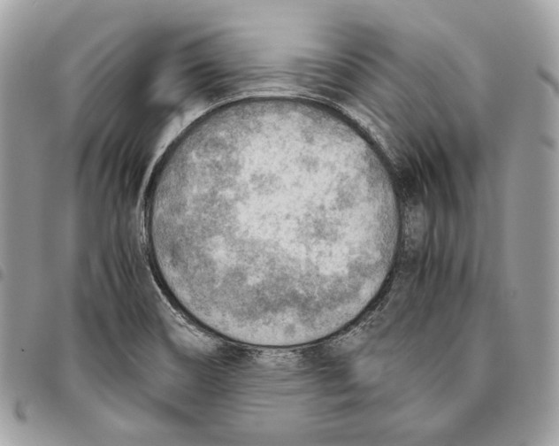 X0000095891466200802081106