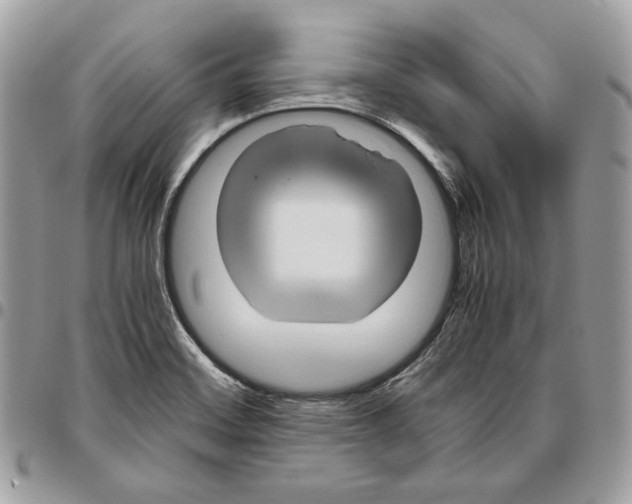 X0000095891468200802081106