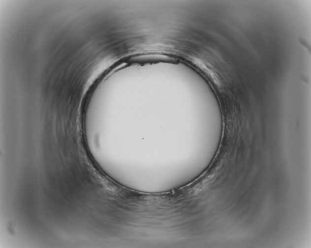 X0000095891469200802081106