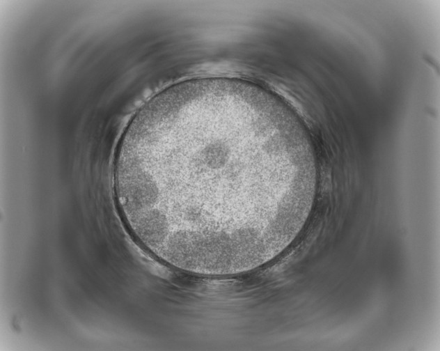 X0000095891471200802081106